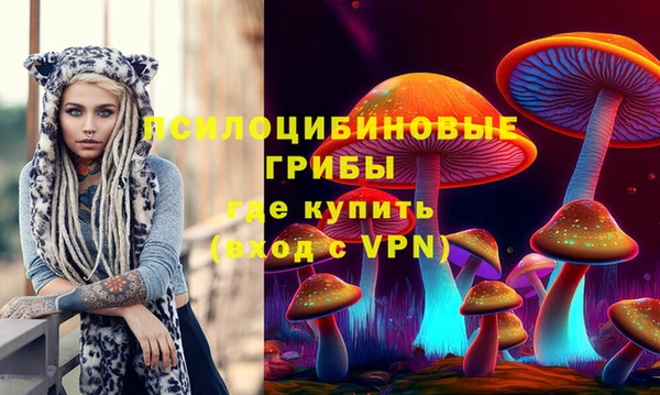 СК Абинск